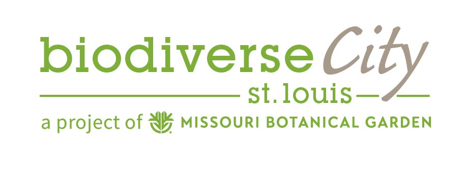 BiodiverseCitySTL logo