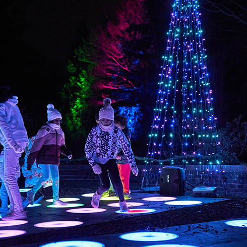 Children jumping on light-up circles in front of an illuminated fir tree