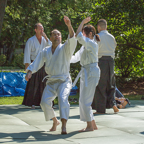 martial artists performing on mat