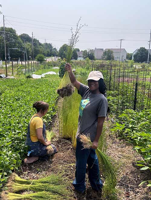 Participant working in field